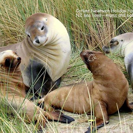 Catlins Newhaven Holiday Park Owaka 외부 사진