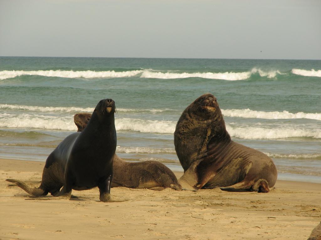 Catlins Newhaven Holiday Park Owaka 외부 사진