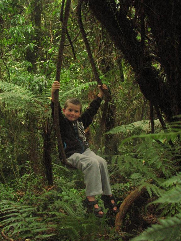 Catlins Newhaven Holiday Park Owaka 객실 사진