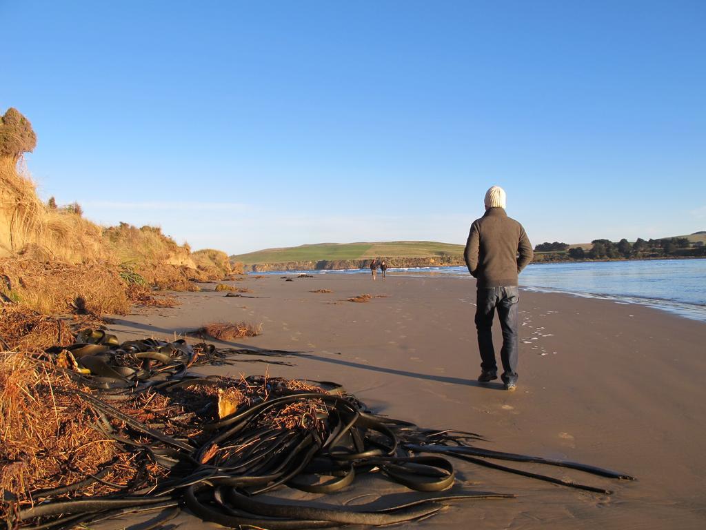 Catlins Newhaven Holiday Park Owaka 객실 사진