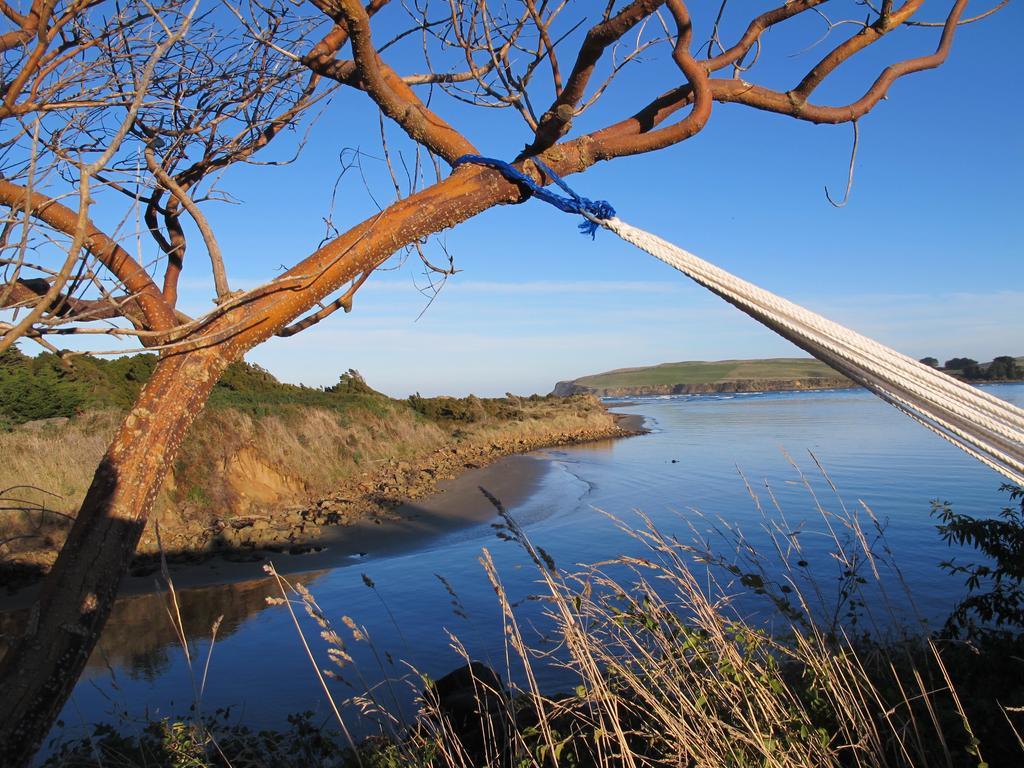 Catlins Newhaven Holiday Park Owaka 객실 사진