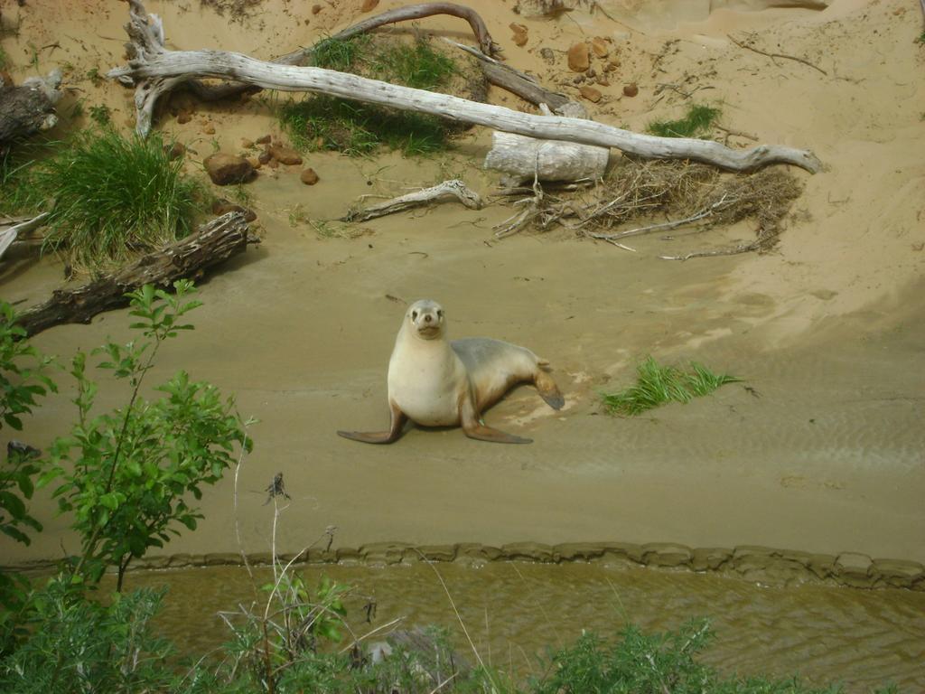 Catlins Newhaven Holiday Park Owaka 외부 사진