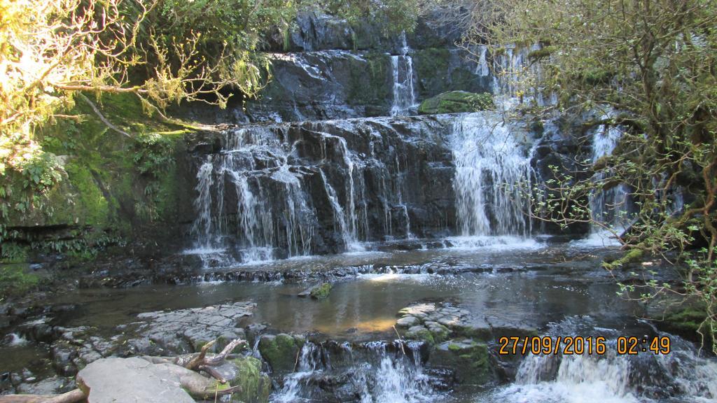 Catlins Newhaven Holiday Park Owaka 외부 사진