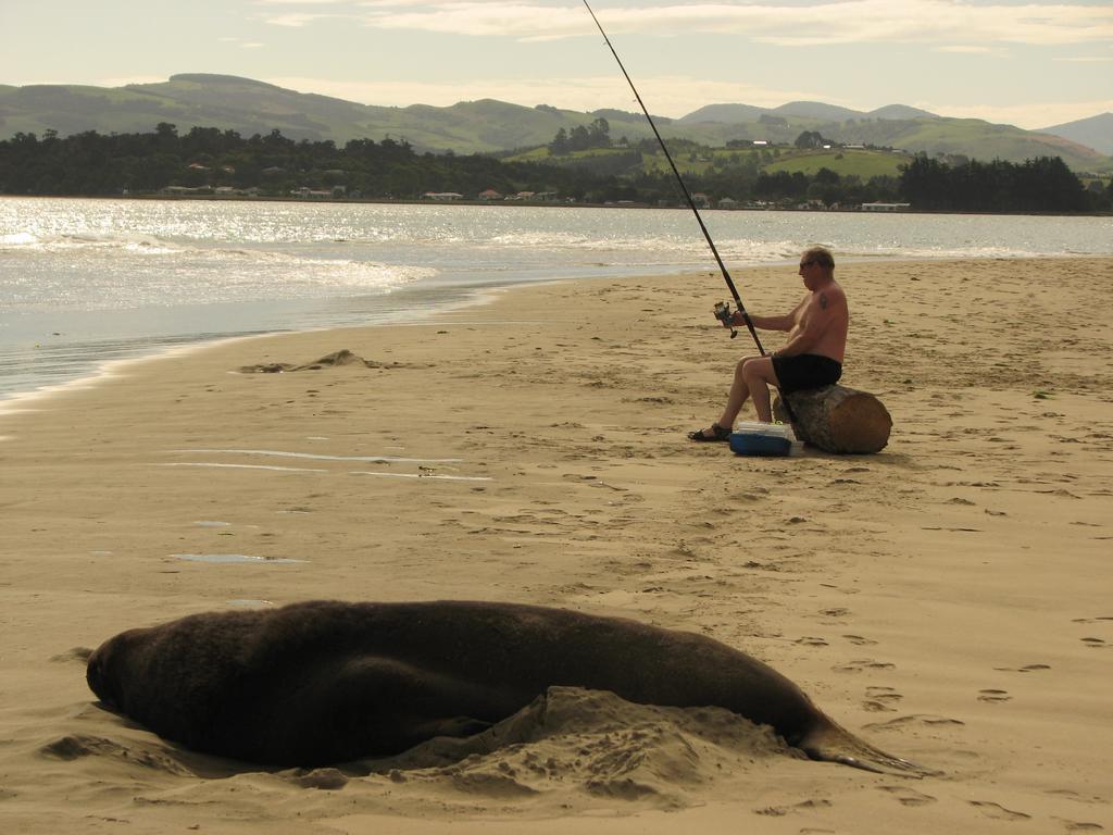 Catlins Newhaven Holiday Park Owaka 외부 사진
